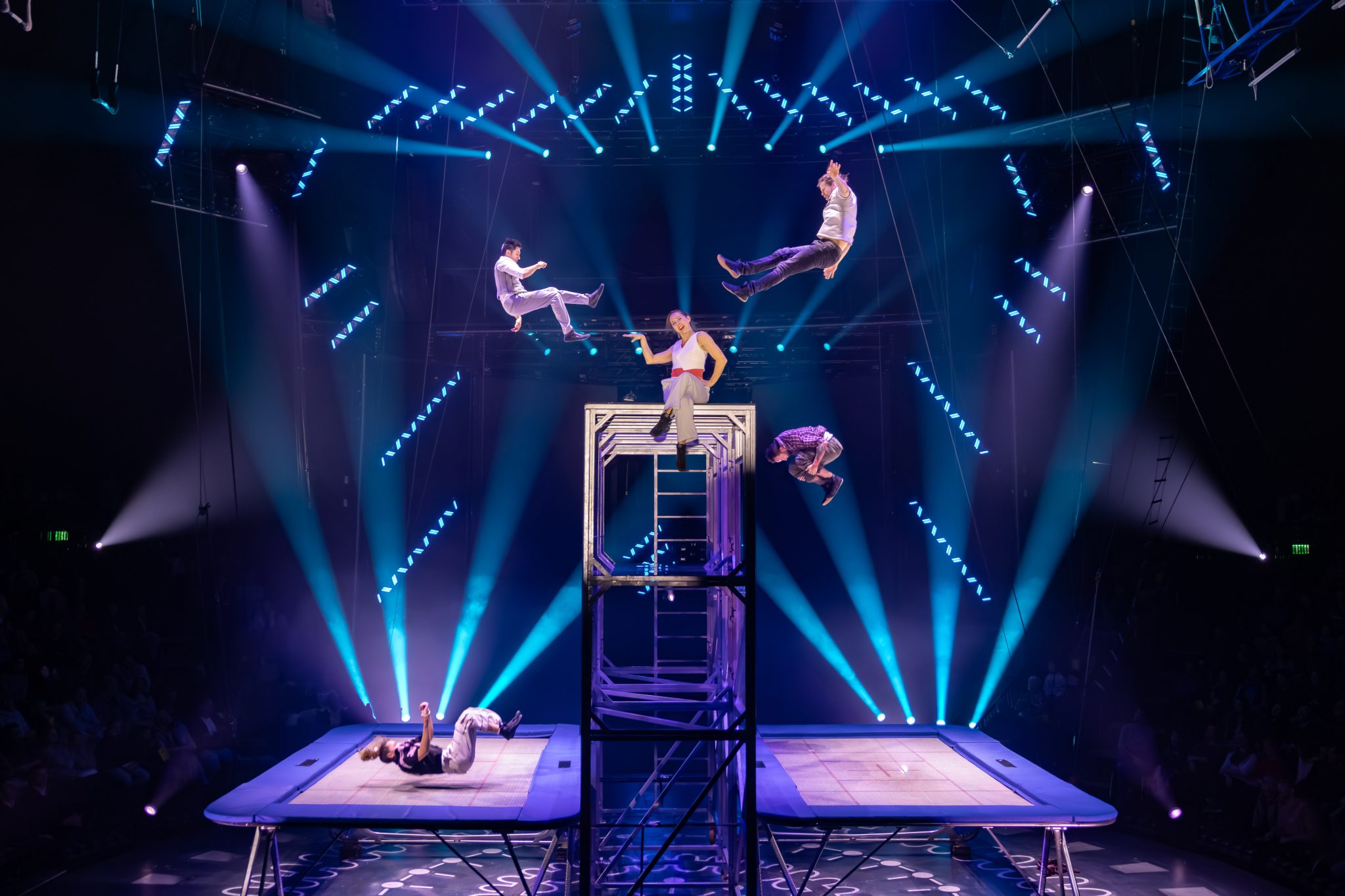 20251229_0911_bilderbube