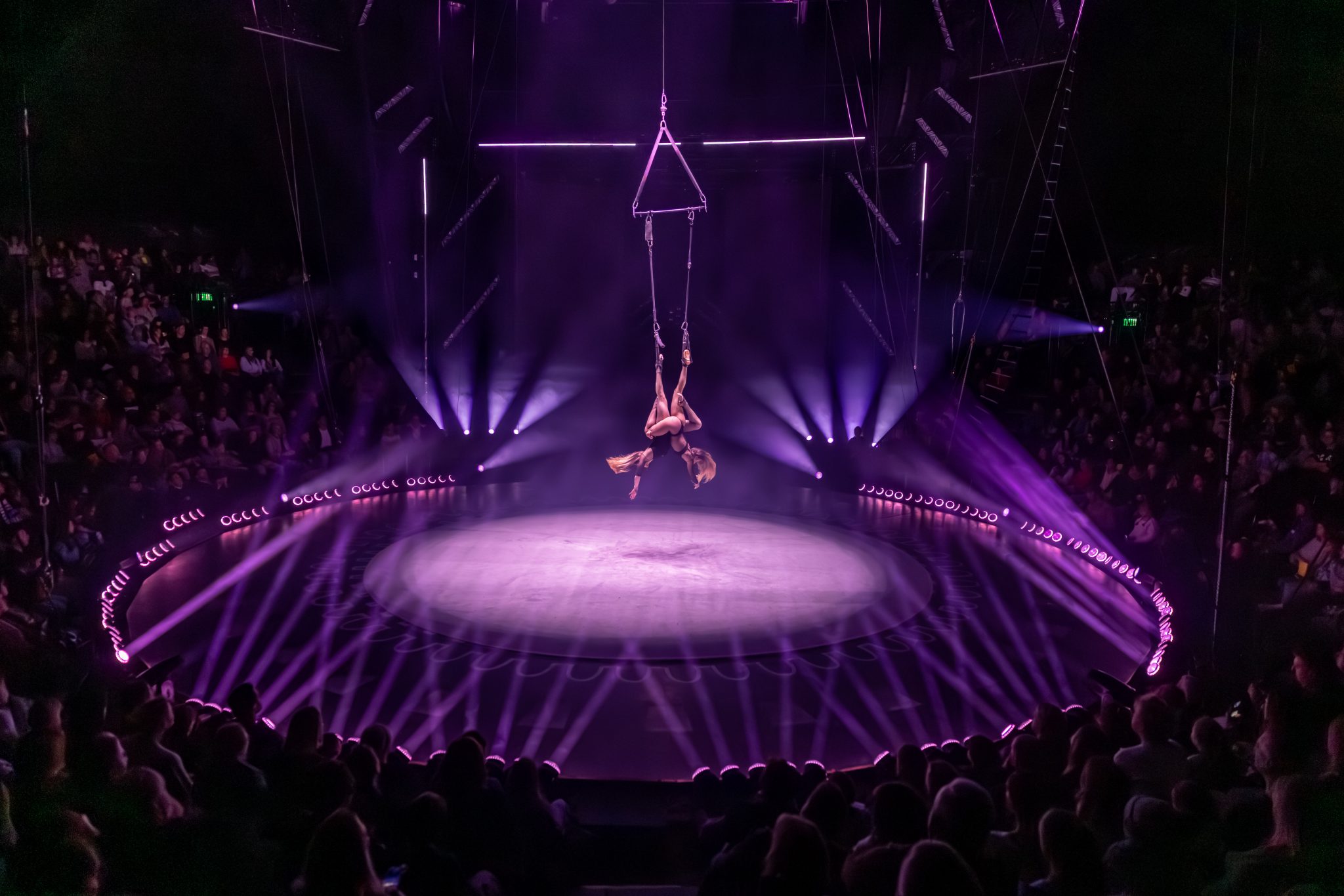 20251229_1194_bilderbube